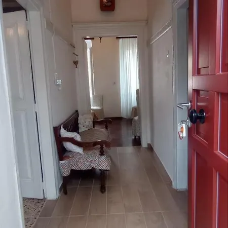 Marthas Traditional House シミ